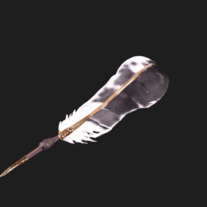 Antique Writing Quill